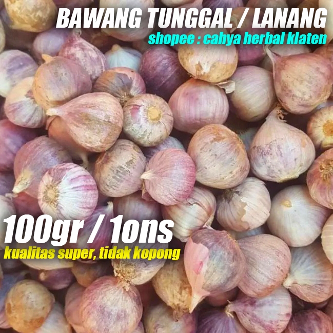 

Bawang Putih Tunggal Lanang 100gram/ 1ons Super Tidak Ada Yang Kopong Kemasan Ekonomis