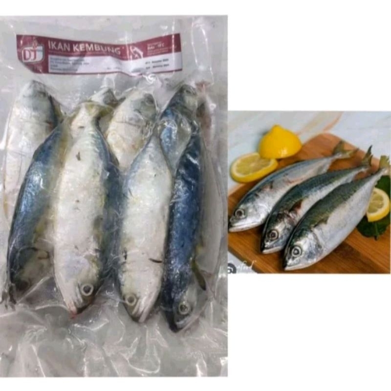 

ikan kembung Frozen