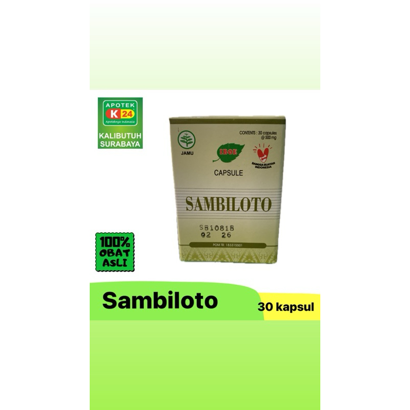 

Sambiloto Jamu Iboe