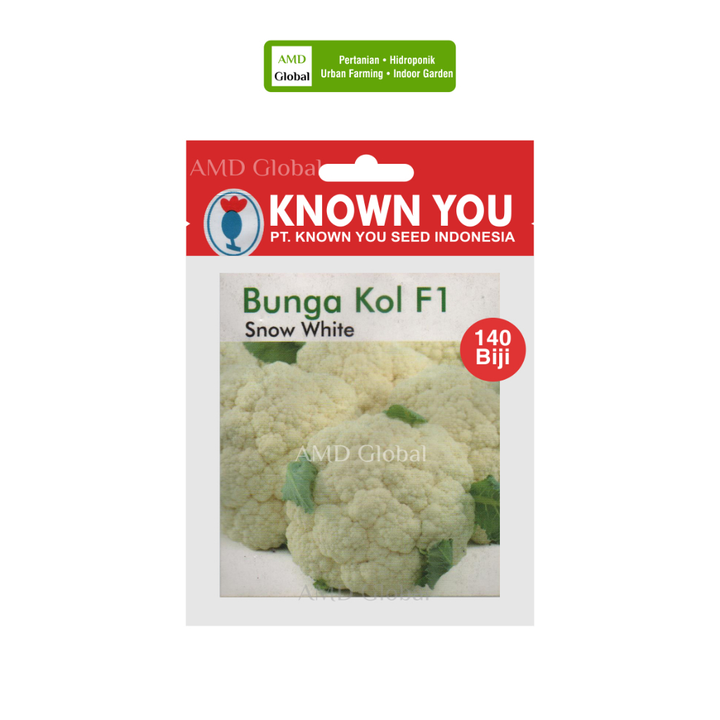 Benih Bunga Kol Snow White F1 / Kembang Kol Known You Seed Isi 140 Biji