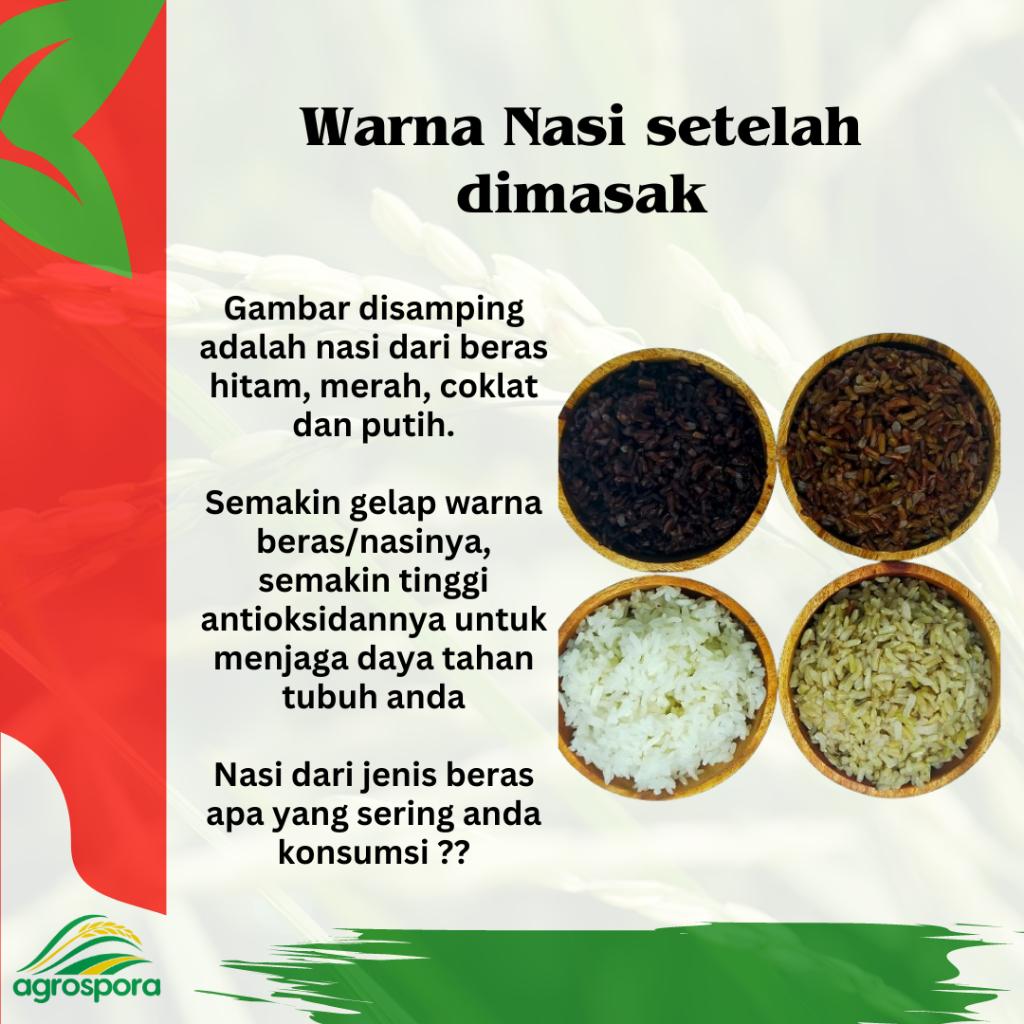

KTr190 Pringkasap - Beras Organik Putih 1 Kg (Vacum)