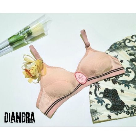 Paket Isi 3 Pcs Bra//BH ABG polos