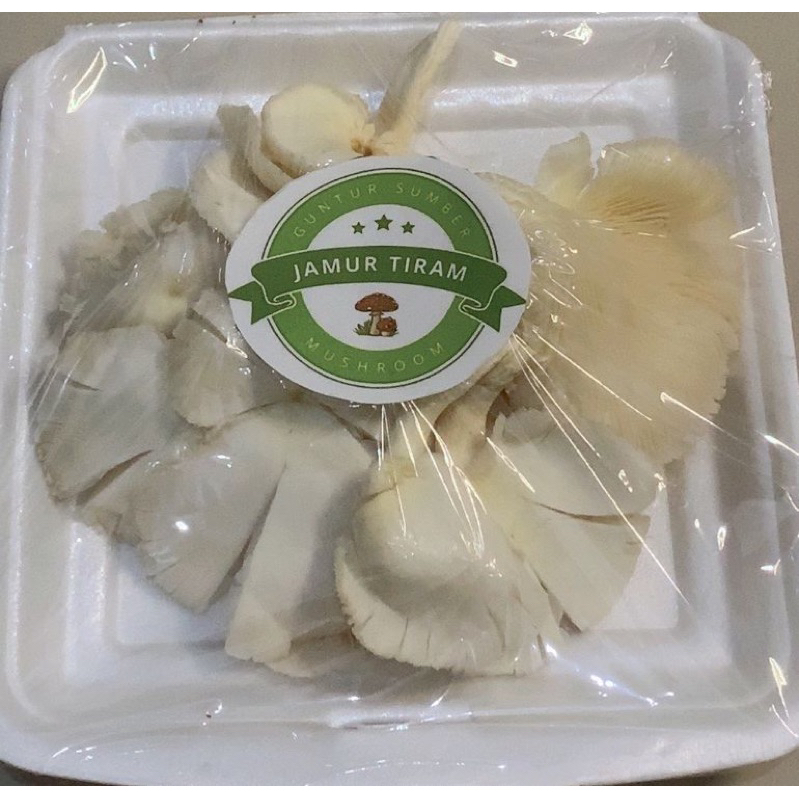 

Jamur tiram 100gram