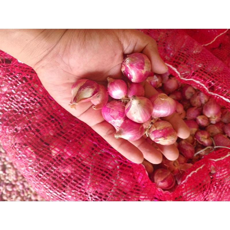 

PAKET 2 KG BAWANG MERAH MUMER,KERING