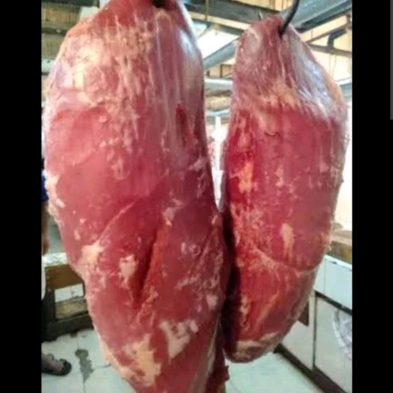 

Daging Gandik sapi fresh