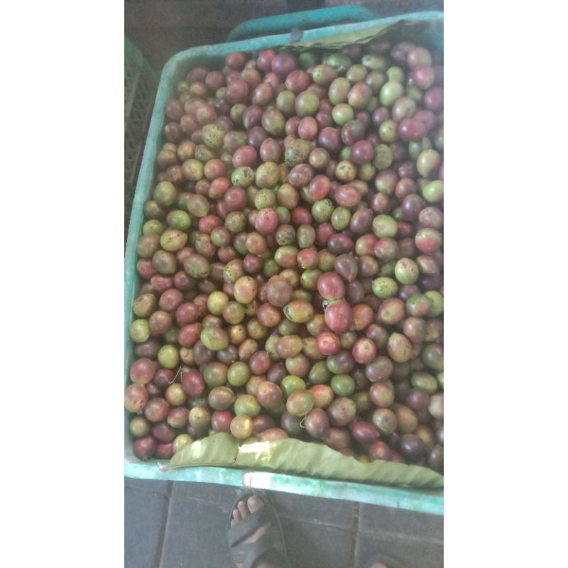 

matoa kelapa dan papeda