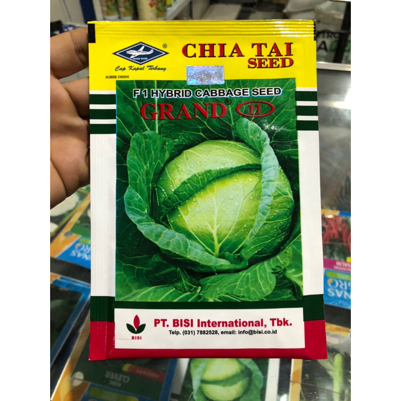GRAND 11 15gr F1 HYBRID CABBAGE SEED BENIH KUBIS KOL