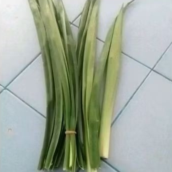 

DAUN PANDAN SEGAR per ikat