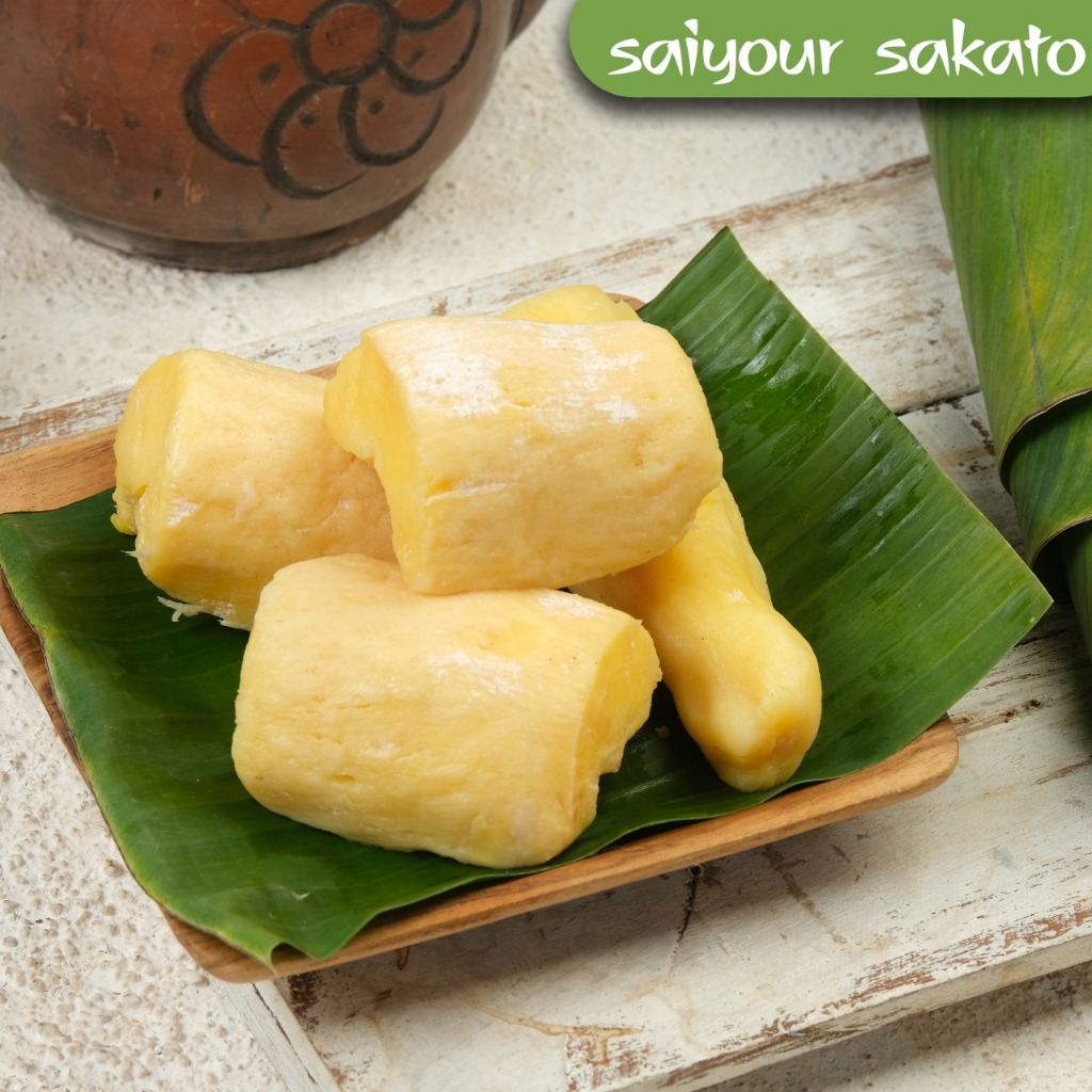 

Tape Tapai Singkong - Saiyour Sakato