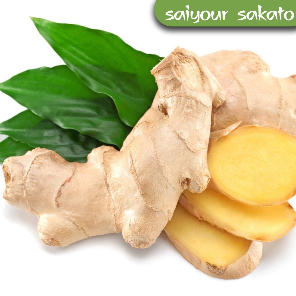

Jahe Putih 250gr - Saiyour Sakato