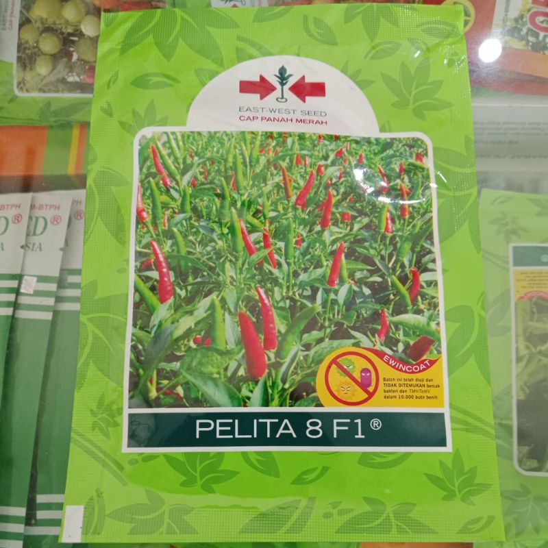 PELITA 8 F1