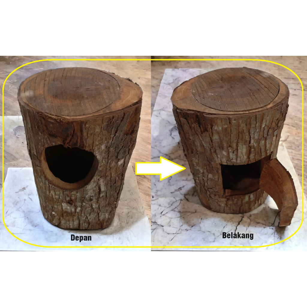 Rumah Pohon Burung|Glodok Pohon Untuk Murai Batu Kacer |Glodok Burung