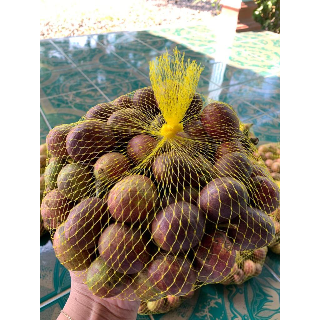 

Buah Matoa Super, Daging Tebal (Bukan Campur) Langsung petik dari pohon per kilo