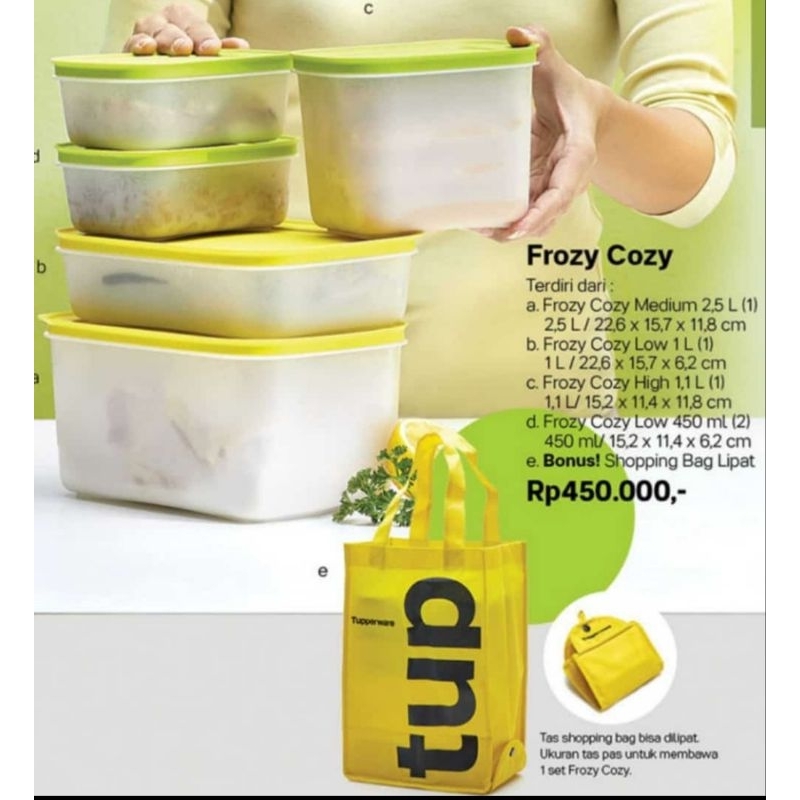 Tupperware Frozy  Cozy