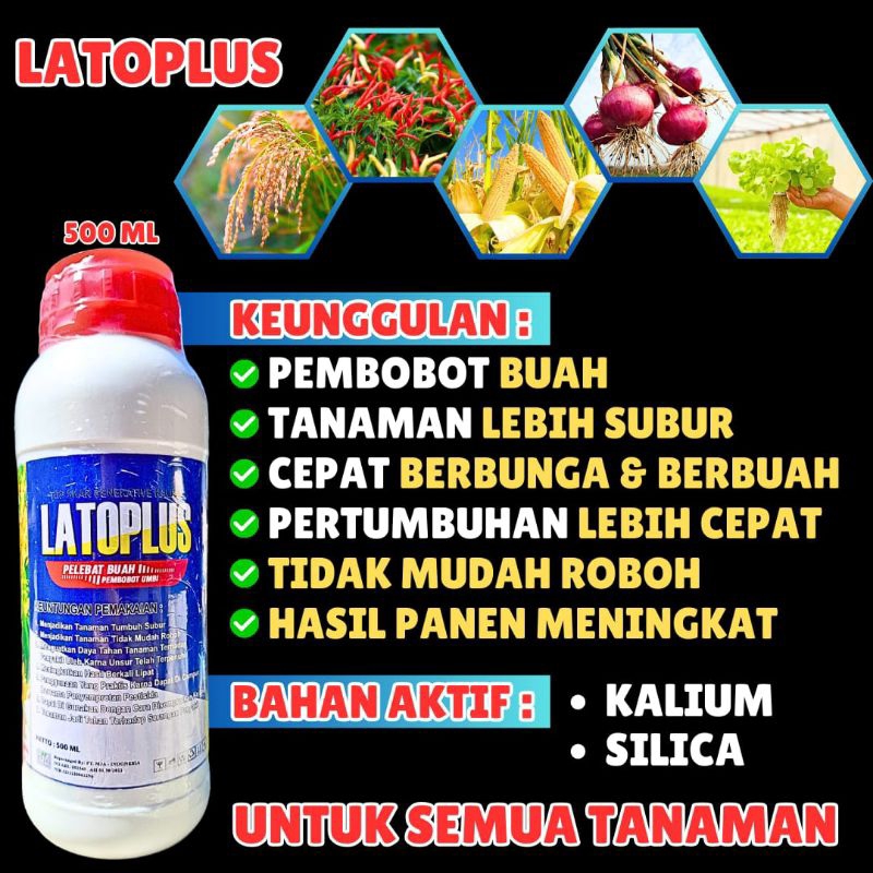 LATOPUS Raja Pupuk Kalium & Silika