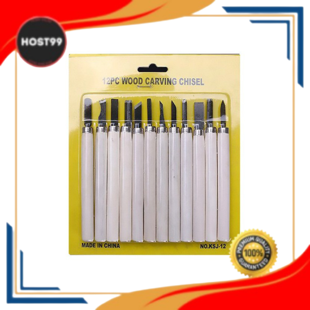 

DH - 12 IN 1 WOOD CARVING KNIFE SET PISAU UKIR PAHAT KERAJINAN KAYU DIY A060