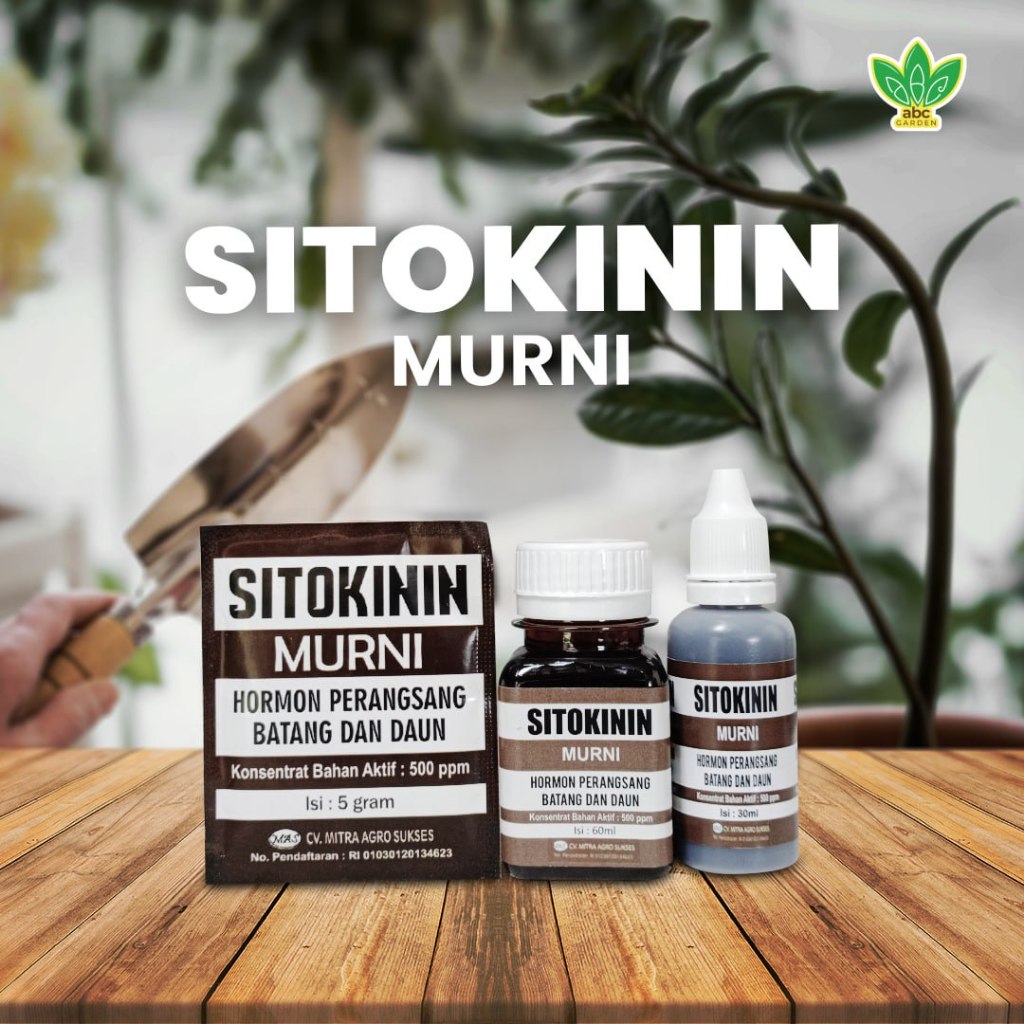ZPT Sitokinin - Hormon Pertumbuhan Batang, Daun & Tunas