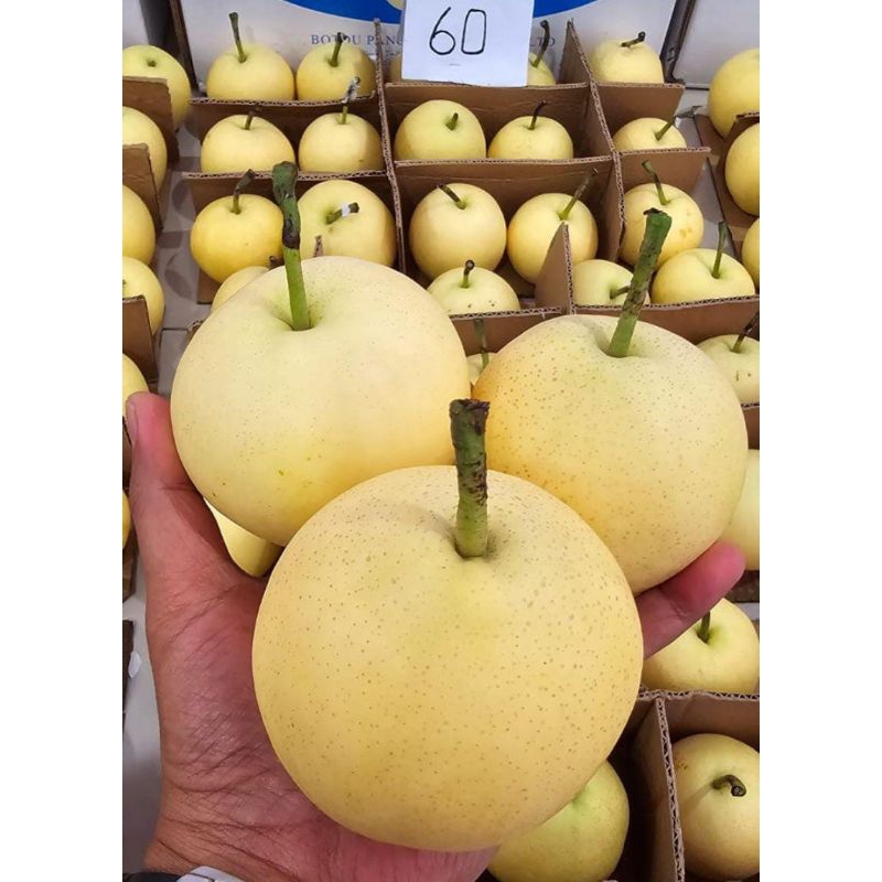 buah pir 1 kg