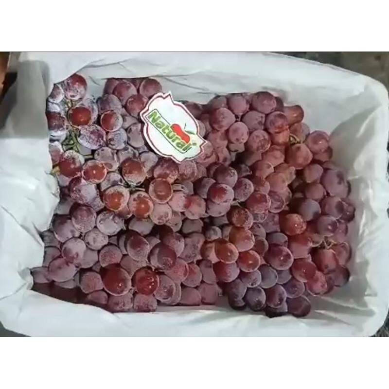 

Buah anggur merah