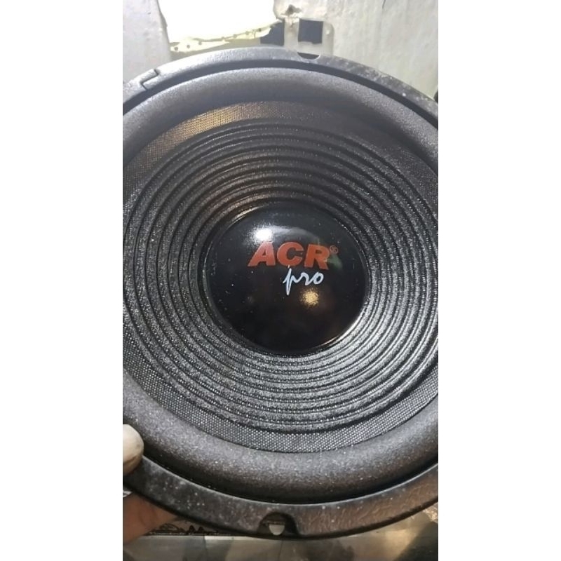 speaker woofer ACR 10 in 25h100  400w