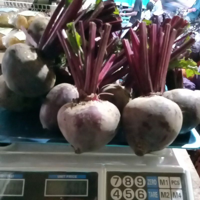

bit root grosir 5kg