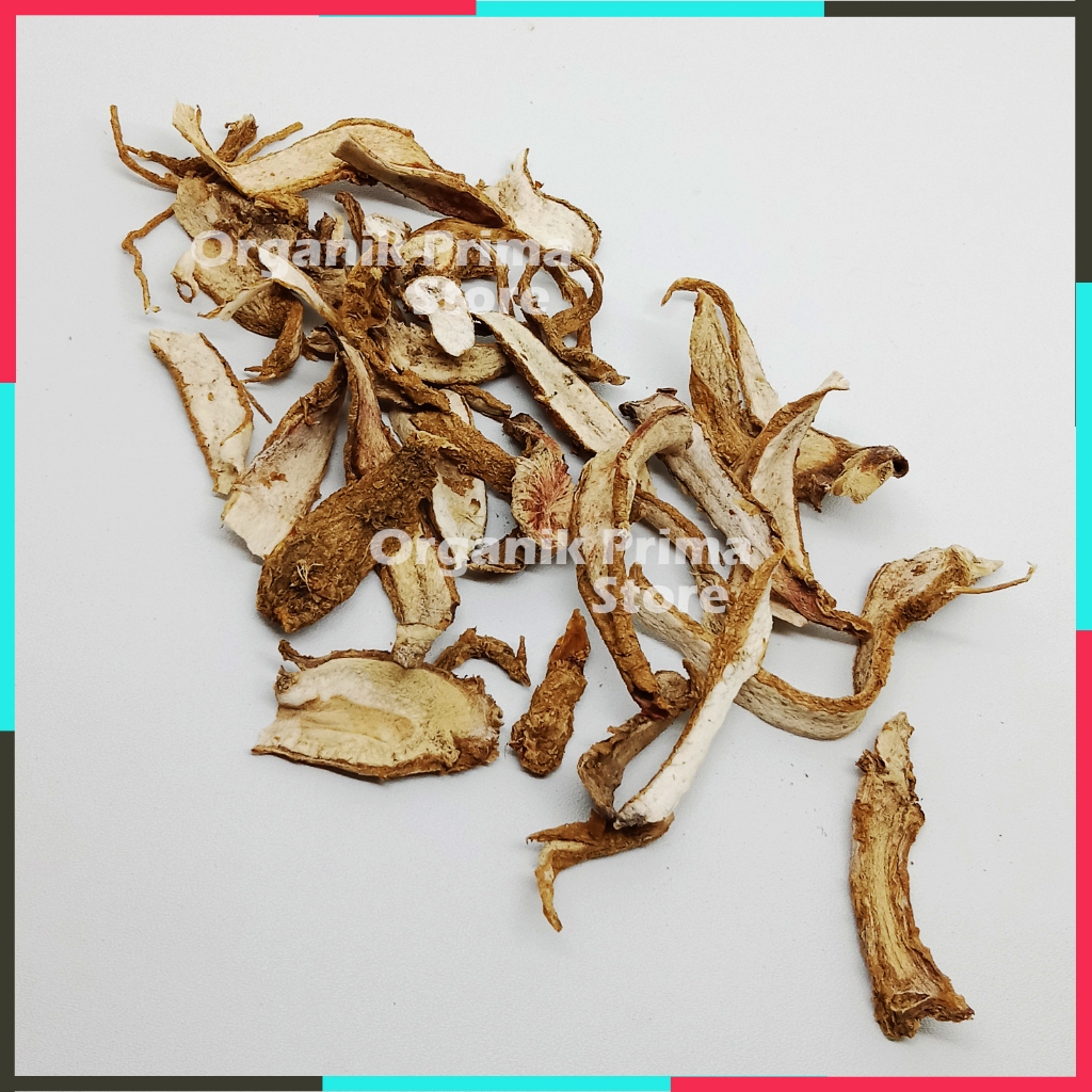 

Ginseng Jawa Asli Bersih dan SOM Organik