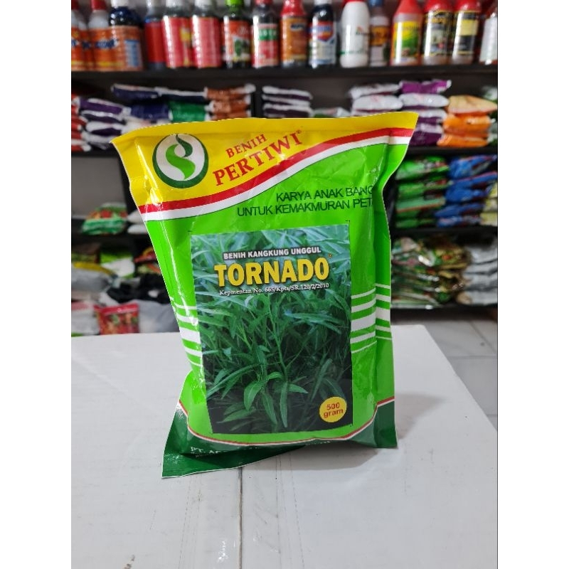 BENIH KANGKUNG UNGGUL TORNADO BIBIT KANGKUNG 500 GRAM
