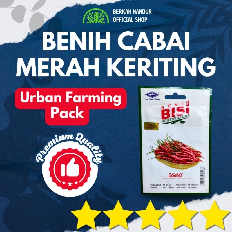BENIH CABAI MERAH KERITING URBAN FARMING KEMASAN PABRIK CMK KERITING