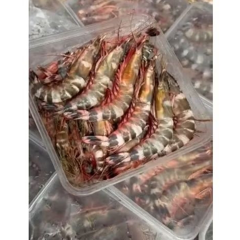 

Udang Windu 1 Kilogram