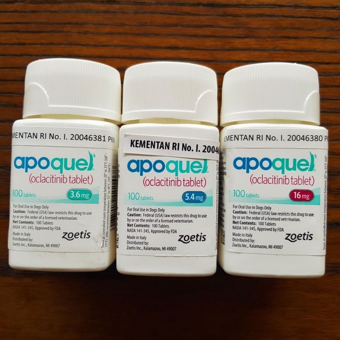 Apoquel, tablet Obat anti gatal anjing 10 tablet