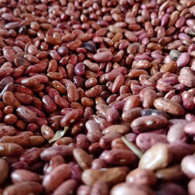

Kacang Merah Jogo Fresh Murah 1Kg Masakan Food