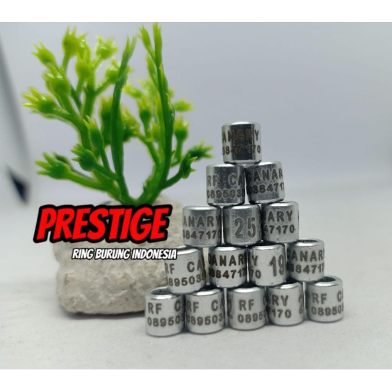 RING KENARI CIBLEK CIGUN TLEDEKAN PRENJAK LASER WARNA SILVER LUBANG 3,0 MM BISA CUSTOM NAMA,NO HP,DL