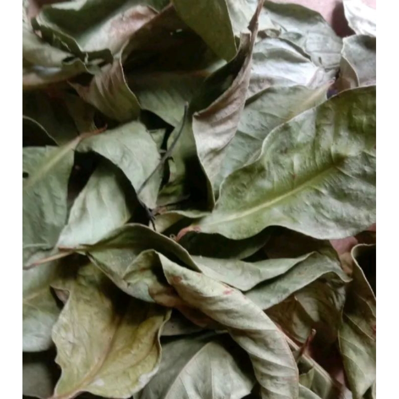

Daun salam kering