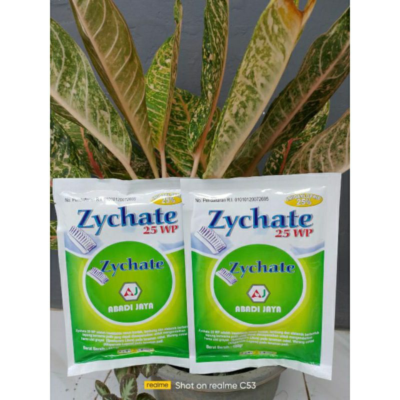 Zychate 25WP