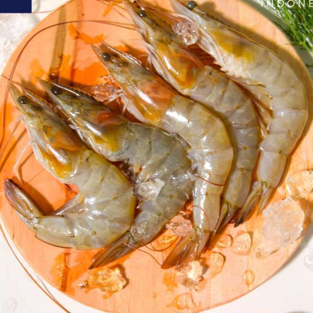 

UDANG VANAME SUPER SEGAR PREMIUM | FAST DELIVERY