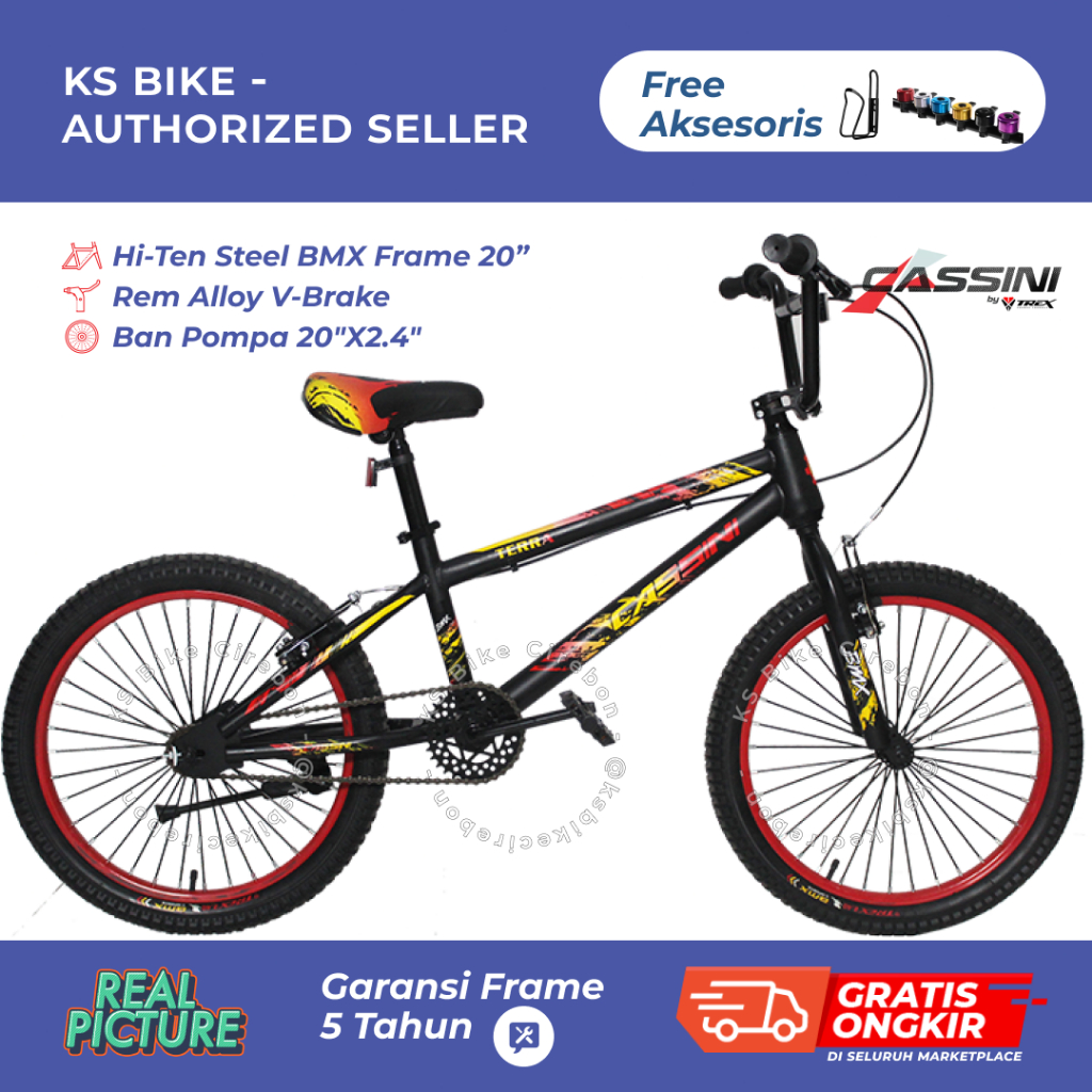 BMX Cassini by Trex Ban 2.40 20 Inch Frame Steel Single Speed Rem V Brake Sepeda Anak Laki Laki umur