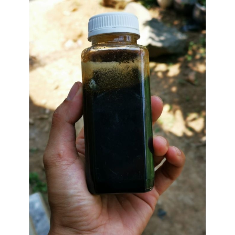 

MADU KLANCENG ASLI MADU TRIGONA MADU MAAG MADU LAMBUNG