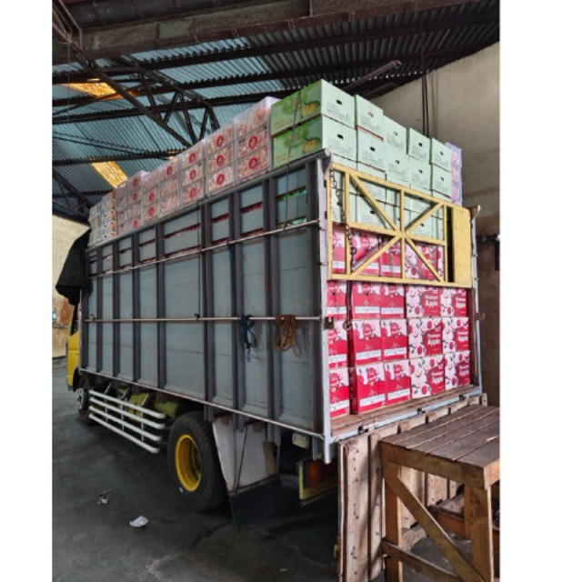 

PROMO BUAH IMPORT KARTONAN