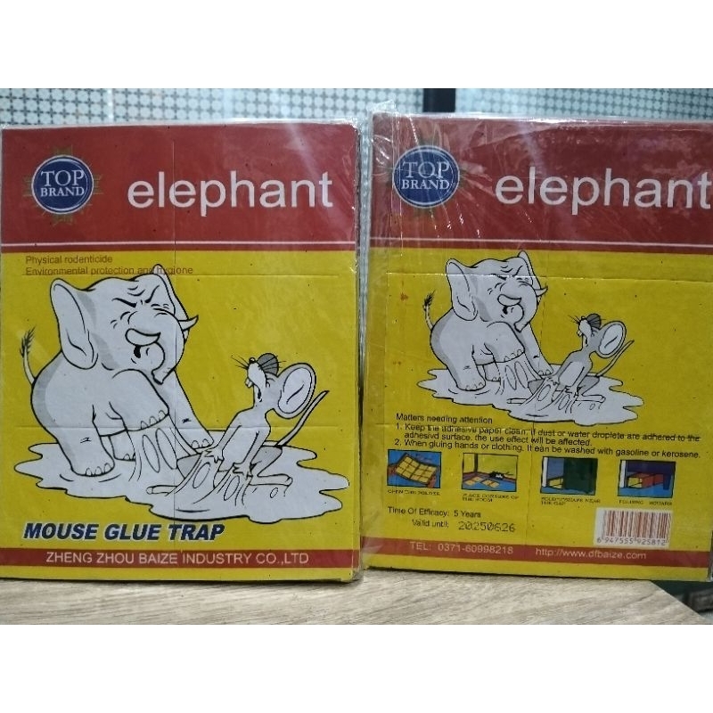 LEM TIKUS PAPAN elephant mouse Glue Trap ecer