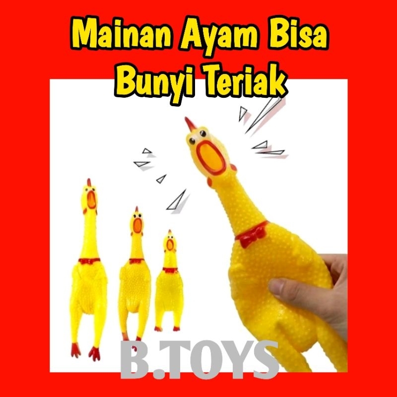 Mainan Ayam Bisa Bunyi
