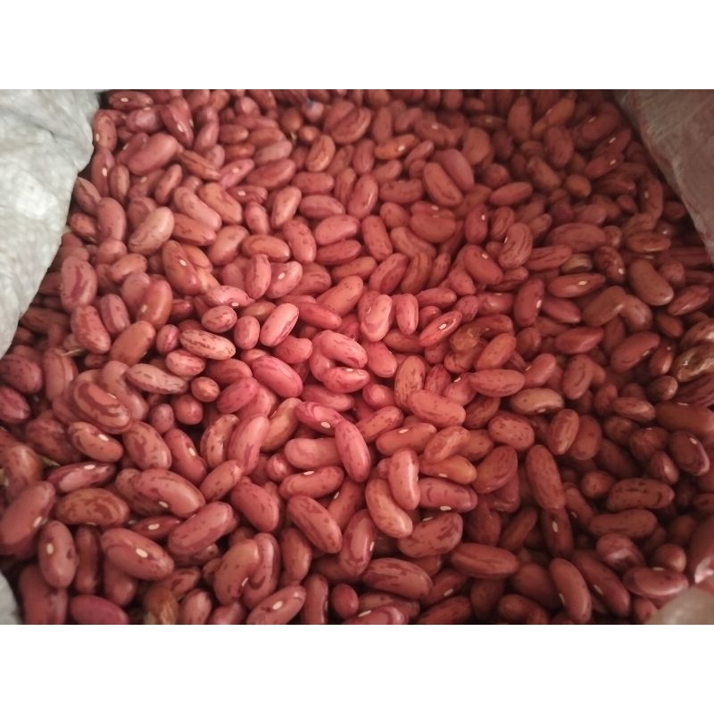 

Kacang merah / kacang rendang /kacang asli/ kacang kacangan/kacang merah/kacang laris/kacang cod kacang murah kacang premium murah meriah original