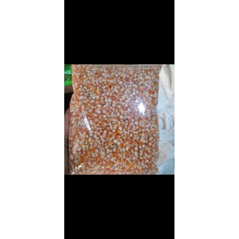 jagung merpati 1kg