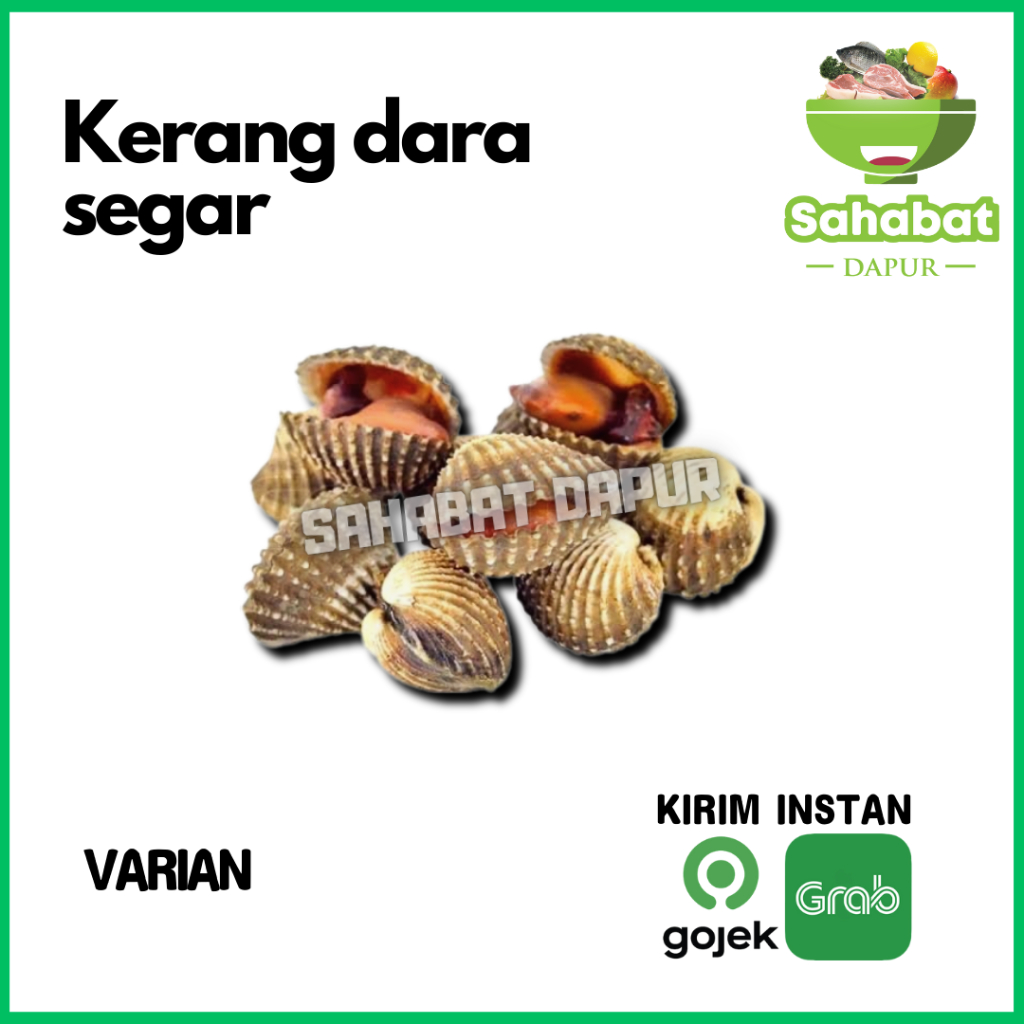 

Kerang Dara Segar - SAHABATdapur