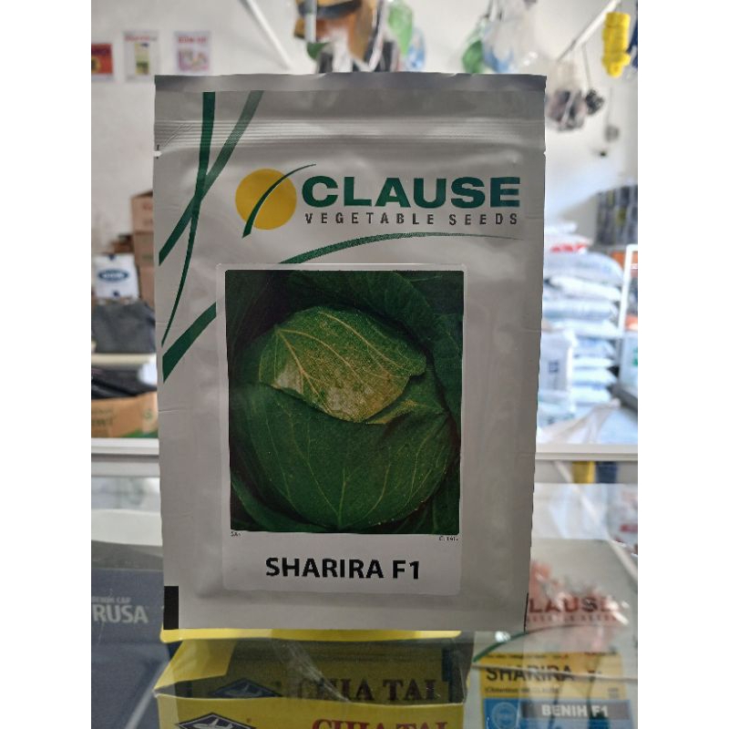 Sharira F1 benih kol / Clause Vegetable Seeds