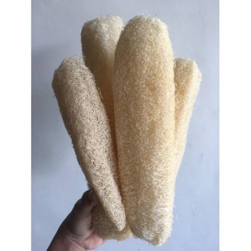 YN857 Sikat Cuci Piring/Oyong Kering Grande A