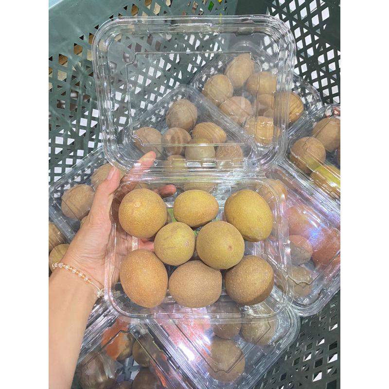 

buah sawo manis 500 gr