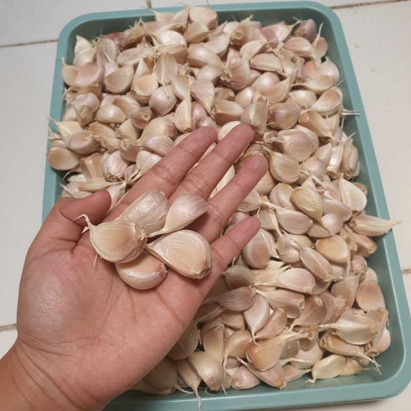 

BAWANG PUTIH KATING BERSIH/PIPILAN/BAWANG PUTIH KATING TANPA BONGGOL @500GR