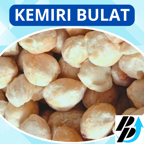

Kemiri Bulat | 1000 Gram Dan 500 Gram | Fresh Dan Berkualitas