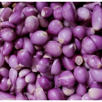 

Bawang Merah Putih Kupas Kirim Instan Fresh