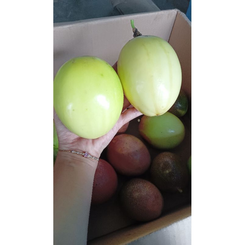 

MARKISA SUPER Rasa Manis Asam